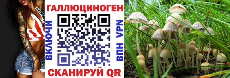 Псилоцибиновые грибы прущие грибы  Коммунар 